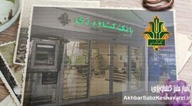 تزریق ۱۲۰ هزار میلیارد ریال به دامداری‌ها؛ جهش ۶۱ درصدی حمایت بانک کشاورزی