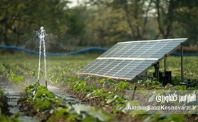 اگروفتوولتائیک در ایران: هم‌افزایی خورشید و کشاورزی برای آینده‌ای پایدار
