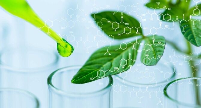 نقش کلیدی آمونیاک سبز در تحول تولید کودهای نیتروژنه