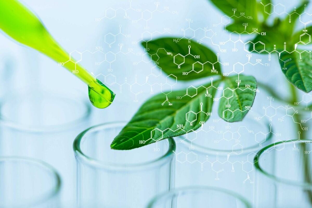 نقش کلیدی آمونیاک سبز در تحول تولید کودهای نیتروژنه