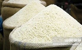 گرانی برنج ایرانی و کمبود آن در بازار: ریشه بحران مدیریت از مزرعه تا فروشگاه چیست؟+ویدئو