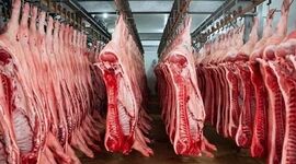 واردات ۱۸۱ هزار تن گوشت قرمز از ابتدای سال

