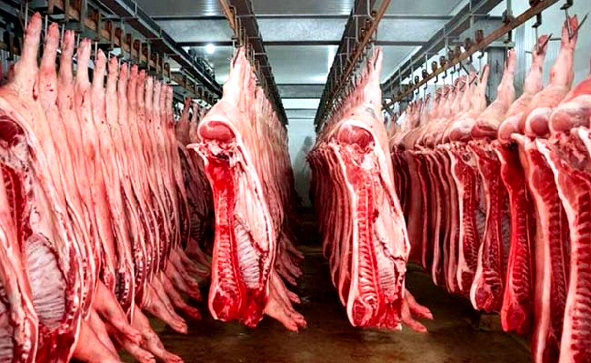 واردات ۱۸۱ هزار تن گوشت قرمز از ابتدای سال

