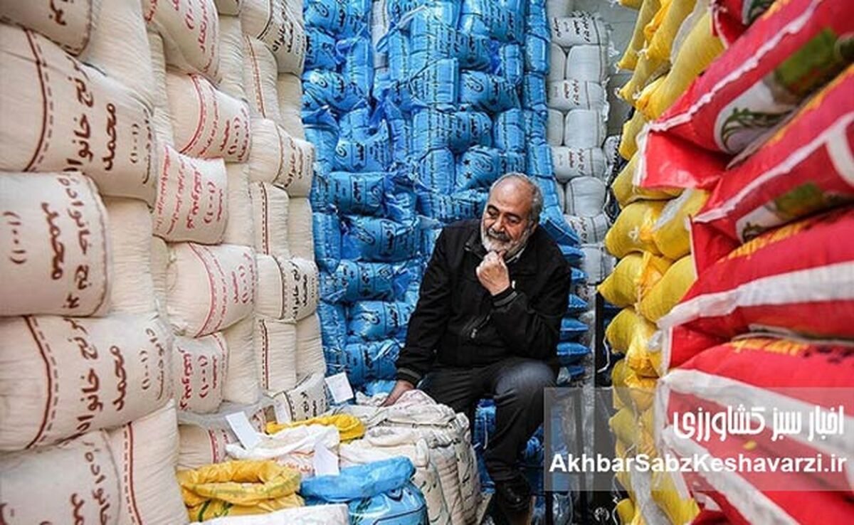 نوسانات بازار برنج؛ تهدیدی جدی برای امنیت غذایی و معیشت مردم