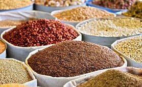 قیمت نهاده های دامی و کشاورزی ۲۶ اسفند ۱۴۰۲

