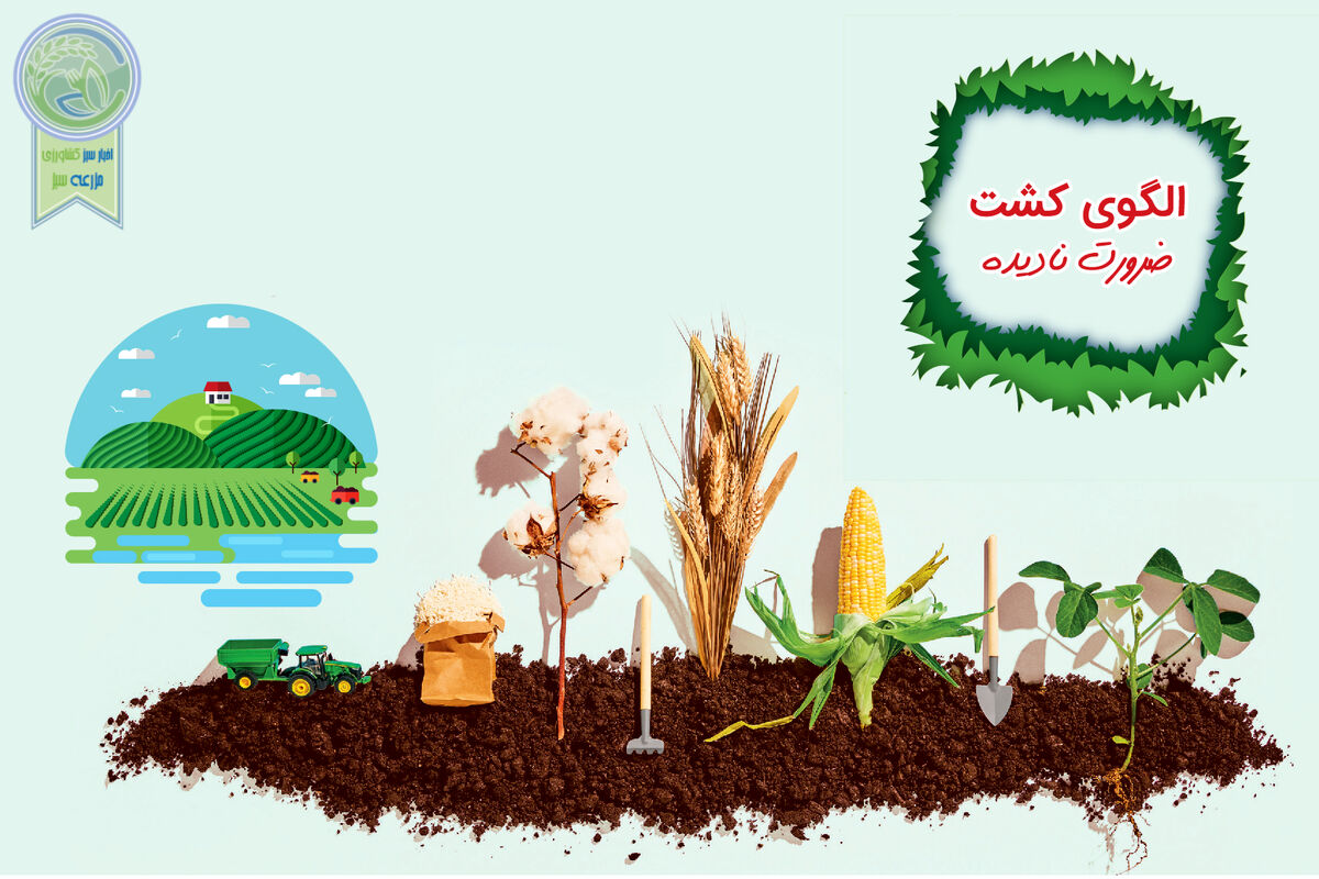 الگوی کشت، ضرورتی که نادیده گرفته شد

