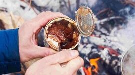 غذاهای کنسروی و نقش آنها در تغذیه سفر