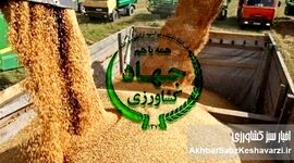 بحران نهاده‌های دامی؛ زنگ خطری دیگر برای امنیت غذایی ایران