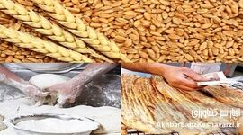 یارانه صدها هزار میلیارد تومانی نان هم چنان در جیب دلالان