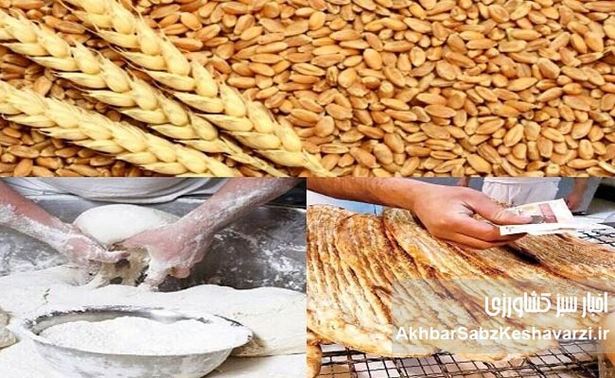 یارانه صدها هزار میلیارد تومانی نان هم چنان در جیب دلالان