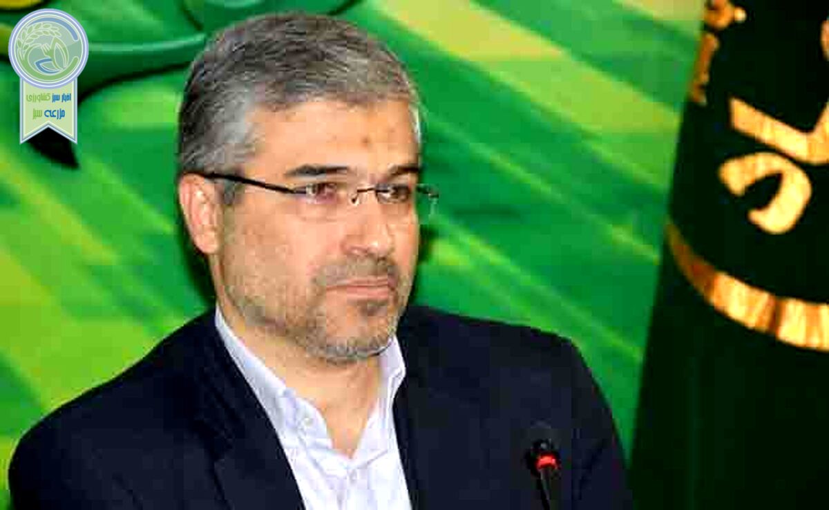 پشت‌پرده گرانی قیمت گوشت قرمز در ایران

