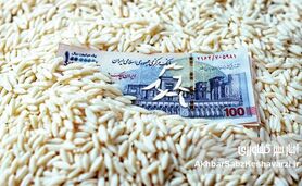 قیمت برنج: وعده کاهش عملی نشد؛ سفره‌ها همچنان خالی!