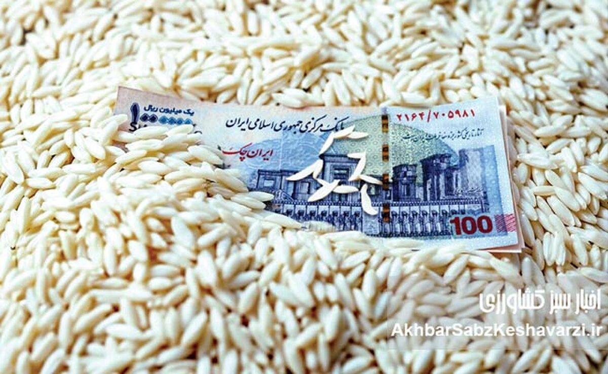 قیمت برنج: وعده کاهش عملی نشد؛ سفره‌ها همچنان خالی!