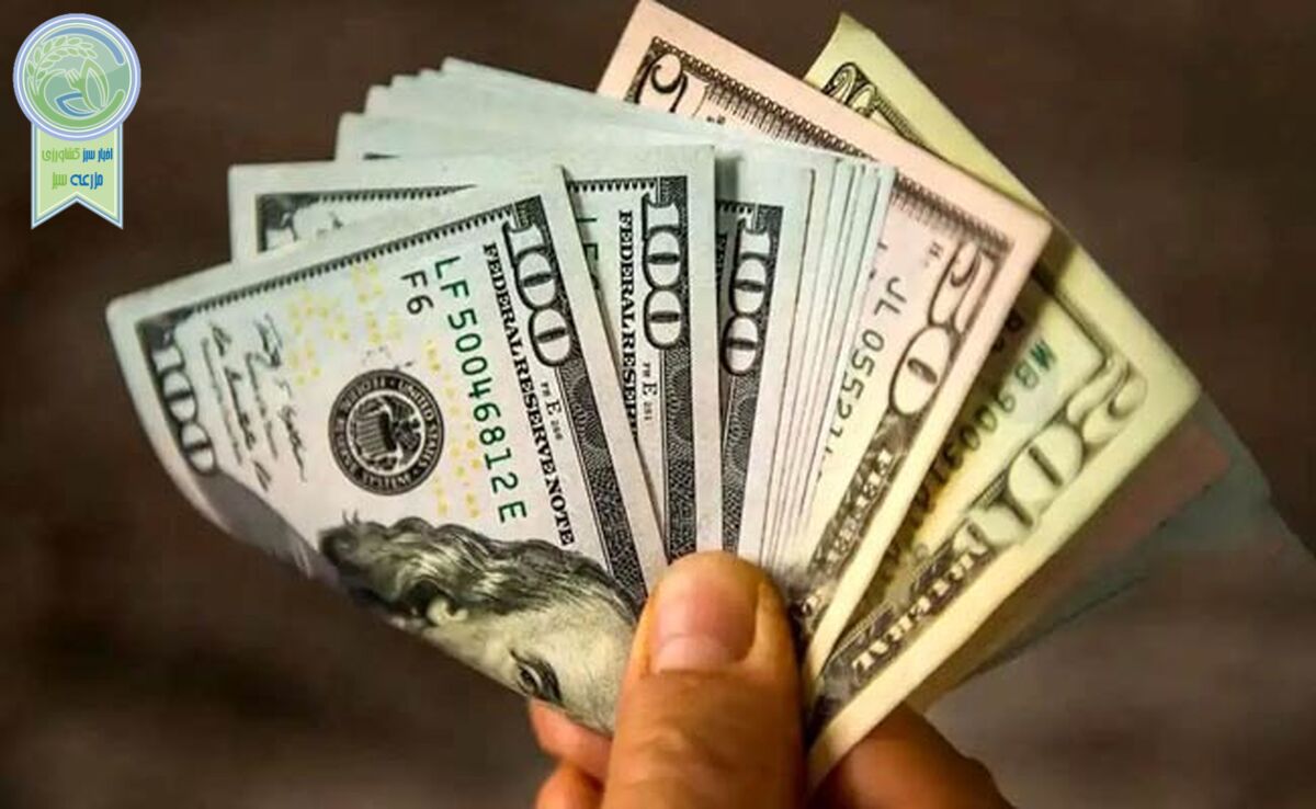 قیمت دلار و یورو امروز دوشنبه ۱۷ اردیبهشت ۱۴۰۳+جدول

