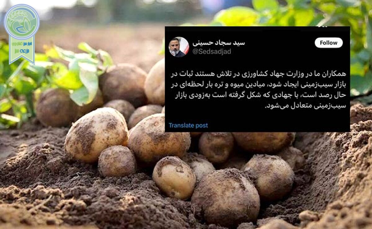 جهاد سیب‌زمینی در دولت چهاردهم شکل گرفت


