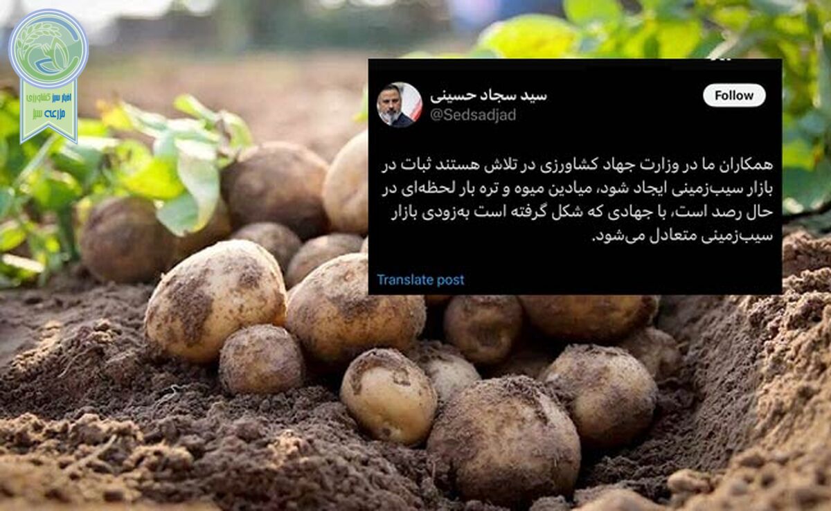 جهاد سیب‌زمینی در دولت چهاردهم شکل گرفت


