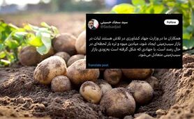 جهاد سیب‌زمینی در دولت چهاردهم شکل گرفت

