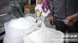 هزینه بلاتکلیفی در بازار شکر؛ وقتی سیاست‌ها قیمت می‌سازند