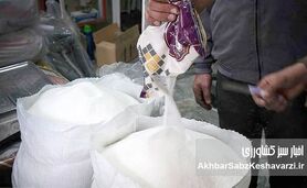 هزینه بلاتکلیفی در بازار شکر؛ وقتی سیاست‌ها قیمت می‌سازند