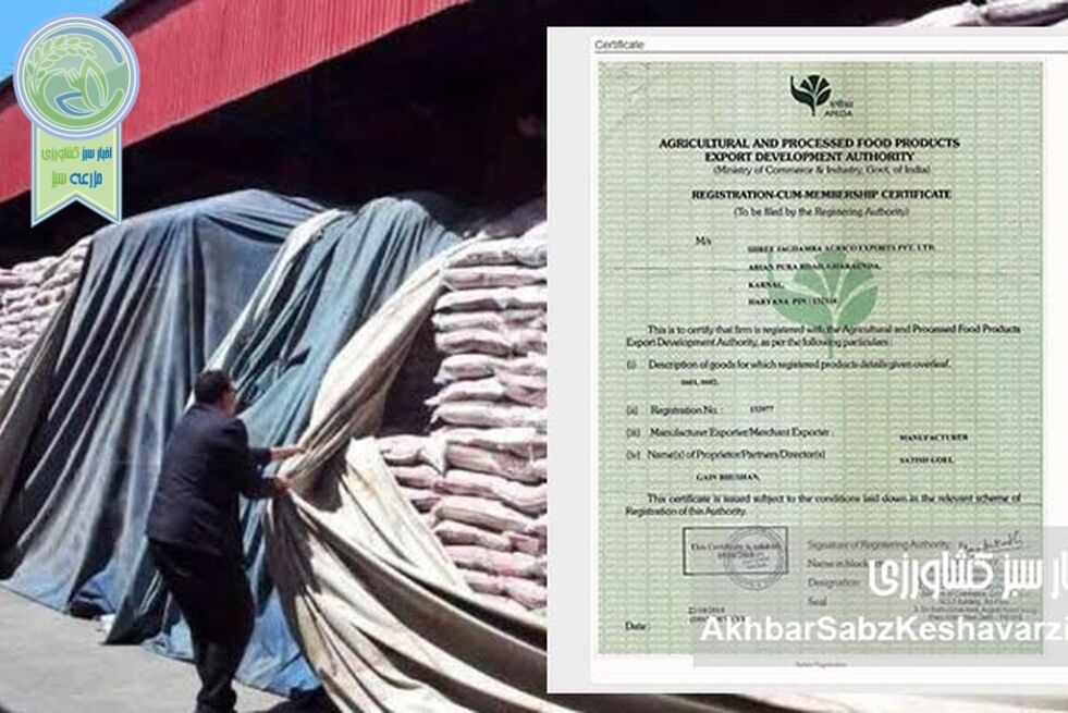 پشت‌پرده واردات برنج هندی و معمای پرونده ۲۴ همتی؛ تقدیر از تاجر خارجی در میان ابهامات مالی