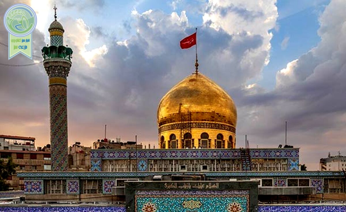پناه بردن زنان و کودکان شیعه به حرم حضرت زینب (س)+ ویدئو

