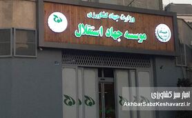مدیرعامل اختلاسگر با وجود حکم قطعی اختلاس همچنان بر مسند مدیریت؛ معاون پرحاشیه و مدیرعامل وارداتی هم در تدارک سفر خارجی!
