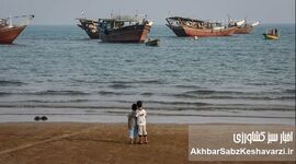 بحران پنهان در آسیا: تنش‌های محیطی و توان ضعیف اکولوژیک