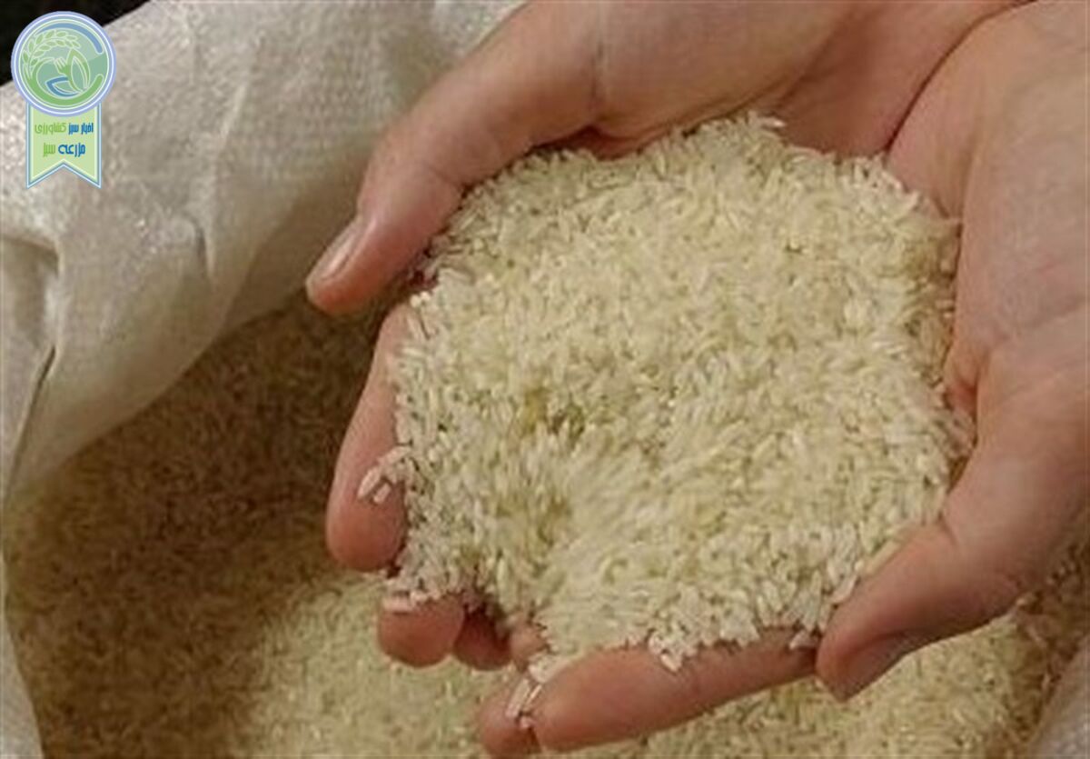 تکرار استراتژی چای دبش در بازار برنج