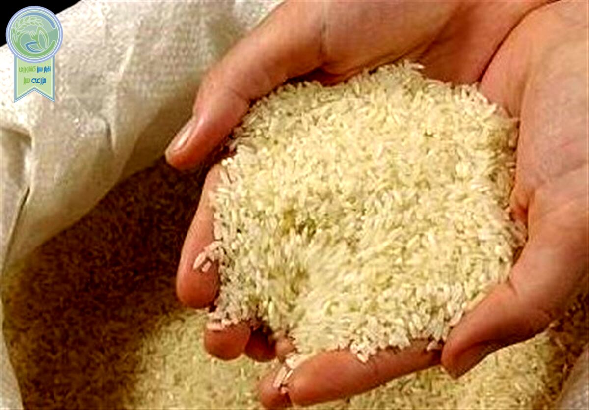 تکرار استراتژی چای دبش در بازار برنج