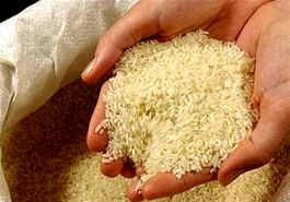 تکرار استراتژی چای دبش در بازار برنج
