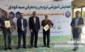 این‌بار بوشهر؛ میزبانی گرم از کیمیای سبز رفسنجان