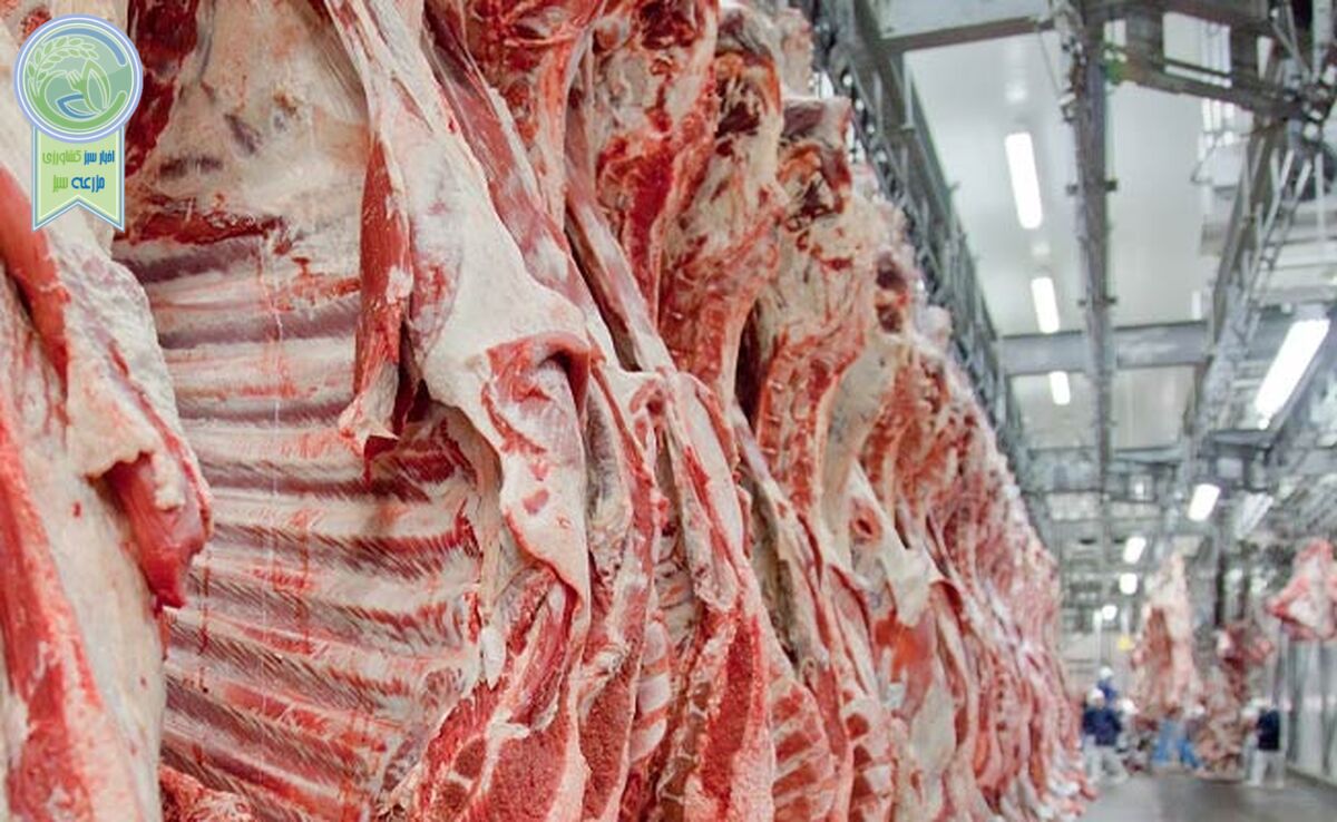 دادخواهی در پیشگاه ملت

