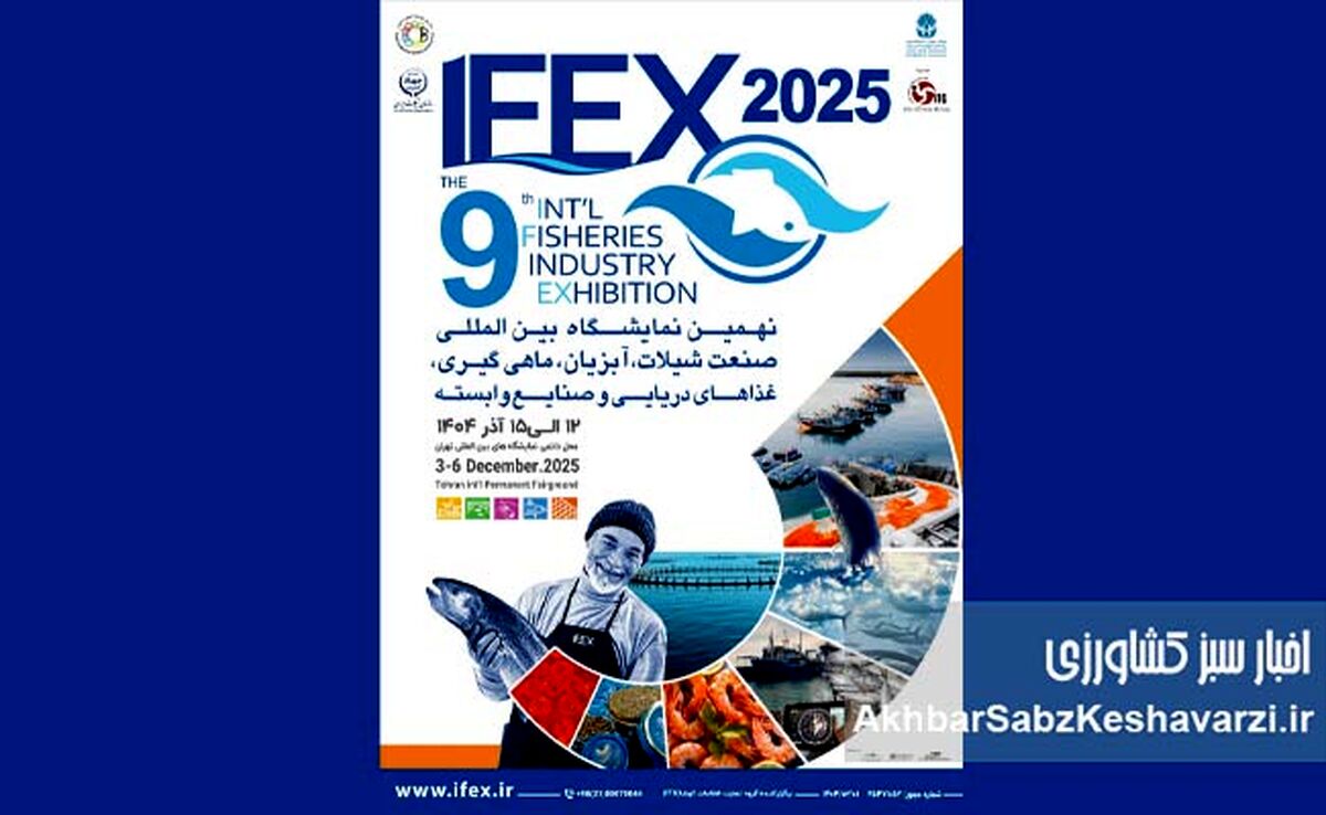 آغاز IFEX 1404؛ نهمین نمایشگاه بین‌المللی شیلات تهران هفته آینده