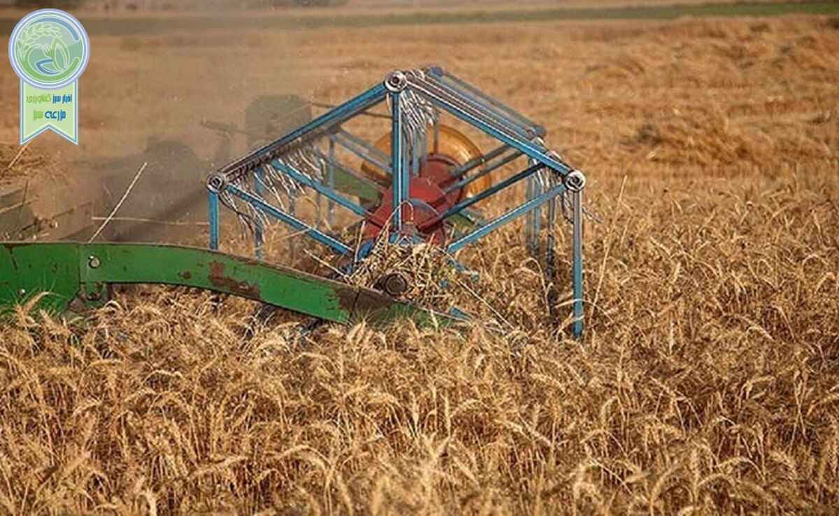 بیمه گندم اجباری شد

