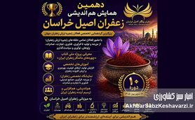 توجه به زعفران، توجه به هویت ملی کشور