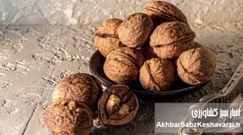 گردو بخورید تا پوکی استخوان نگیرید