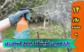 برگزارکنندگان نمایشگاه به غرفه‌داران خدماتی ویژه ارائه دهند

