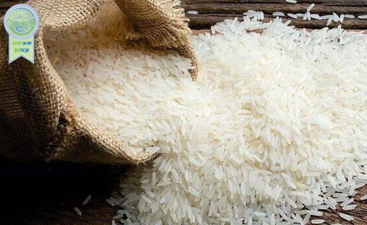 هشدار درباره بازار برنج

