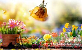 مدیریت عوامل بیماری‌زا در گل‌های شاخه بریده