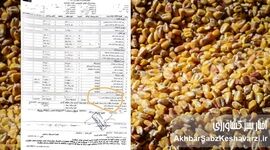 شوک فیش‌های بیمارستانی؛ هزینه نهاده های دامی از جیب بیماران!