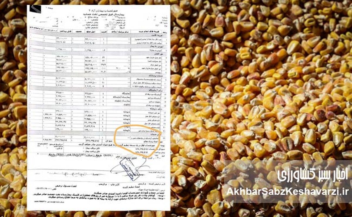 شوک فیش‌های بیمارستانی؛ هزینه نهاده های دامی از جیب بیماران!