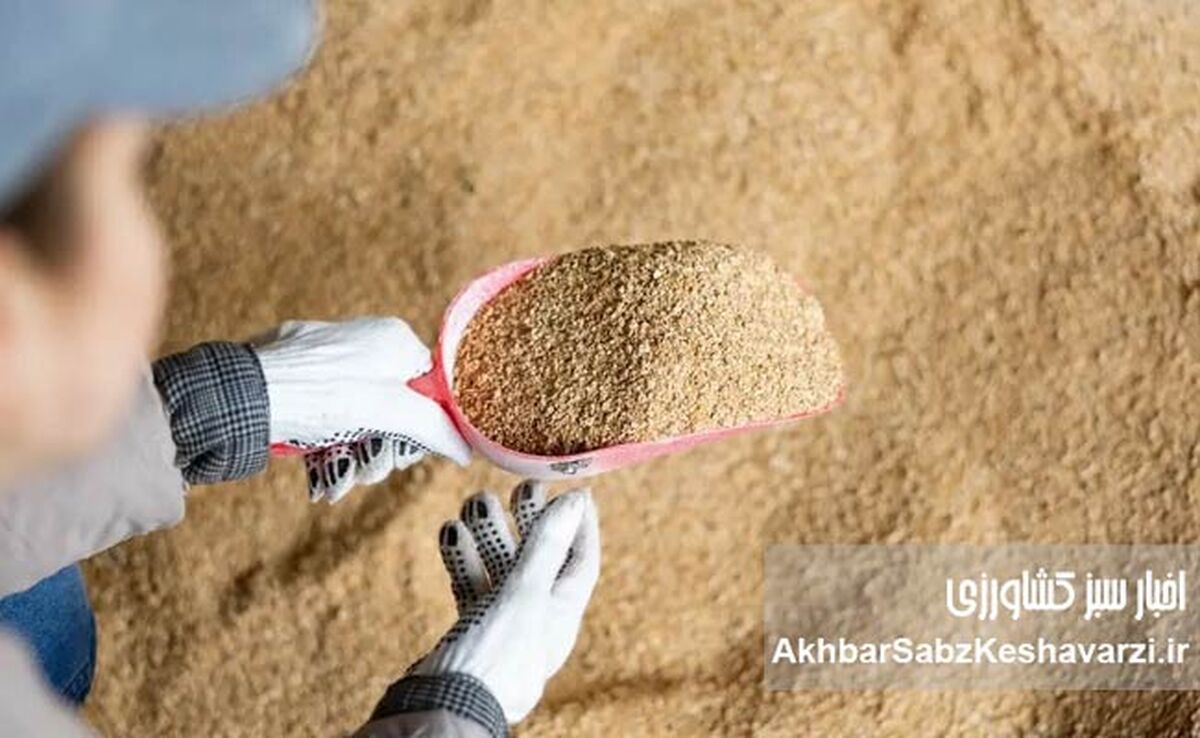 بازار سویا در آستانه تحول؛ از انحصار واردات تا ضرورت تأمین ۲.۴ میلیون تن دانه و کنجاله