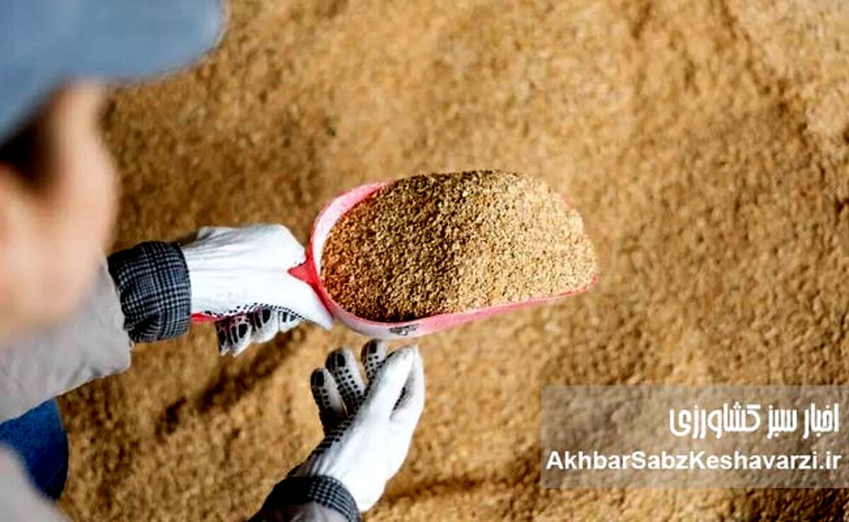 بازار سویا در آستانه تحول؛ از انحصار واردات تا ضرورت تأمین ۲.۴ میلیون تن دانه و کنجاله