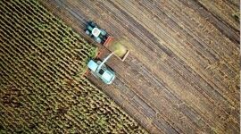 انحصار در کشاورزی؛ از بذر تا محصول نهایی+ ویدئو

