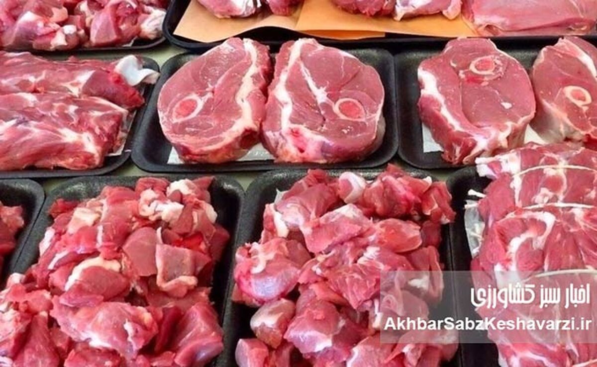سقف قیمت لاشه گوساله نر ۹۰۰ هزار تومان: تعزیراتی با تشکل متخلف برخورد کرد