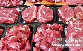 سقف قیمت لاشه گوساله نر ۹۰۰ هزار تومان: تعزیراتی با تشکل متخلف برخورد کرد