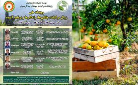 رویداد ملی زوال مرکبات، چالش‌ها، راهکارها و برنامه آینده

