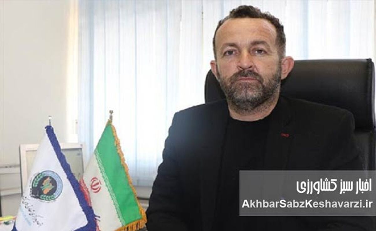 واردات بی‌رویه گوشت: تیری به قلب دامداران ایرانی؟+ ویدئو