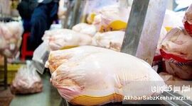 گرانی مرغ و تخم‌مرغ؛ بحران عمیق تولید و ناتوانی دولت در مهار واسطه‌ها