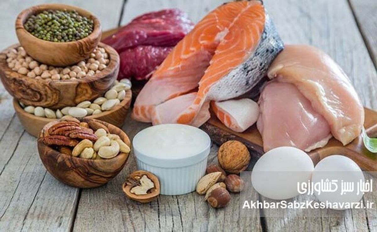 بیشترین افزایش قیمت خوراکی‌ها در خرداد ۱۴۰۴: از تخم مرغ تا لیموترش! +جدول کامل